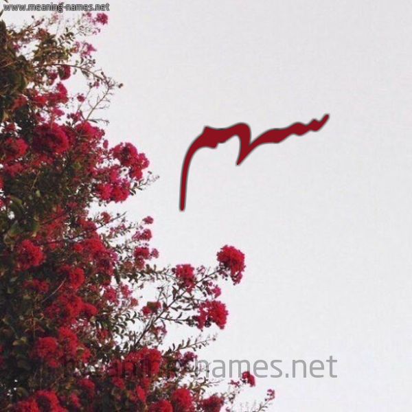 شكل 18 صوره الورد الأحمر للإسم بخط رقعة صورة اسم سهم S'hm