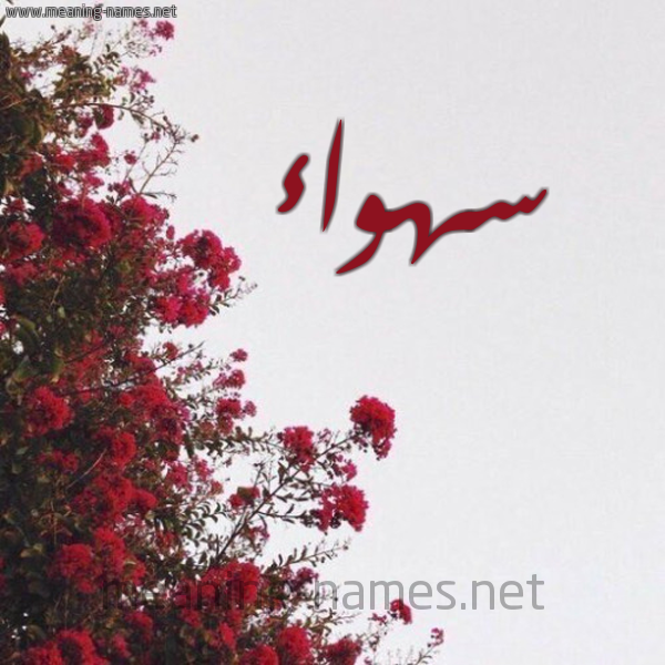 شكل 18 صوره الورد الأحمر للإسم بخط رقعة صورة اسم سهواء S'hwa'a