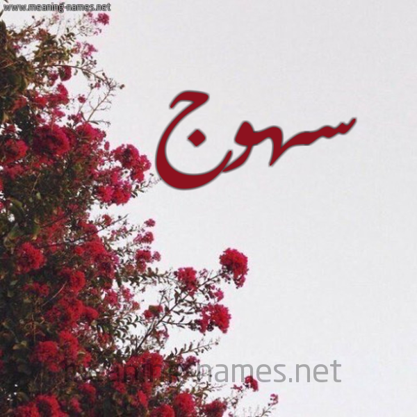 شكل 18 صوره الورد الأحمر للإسم بخط رقعة صورة اسم سهوج S'hwj