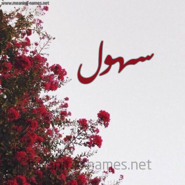 شكل 18 صوره الورد الأحمر للإسم بخط رقعة صورة اسم سهول S'hwl