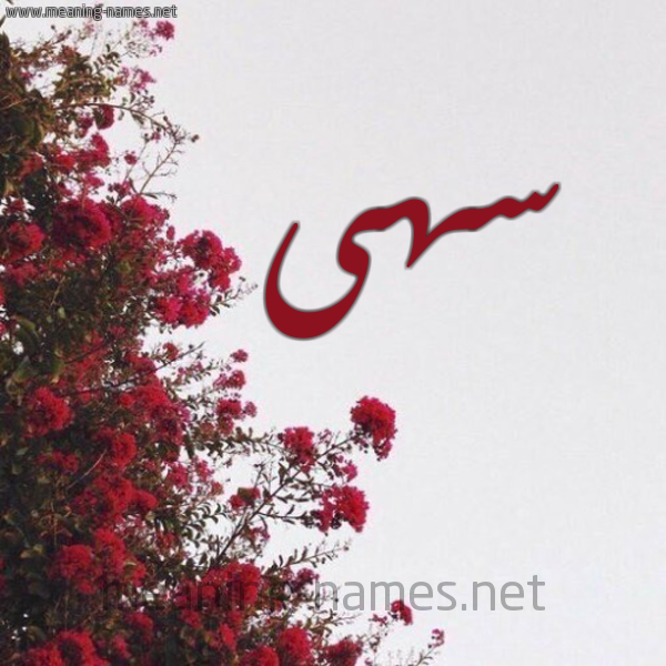 شكل 18 صوره الورد الأحمر للإسم بخط رقعة صورة اسم سهى Soha