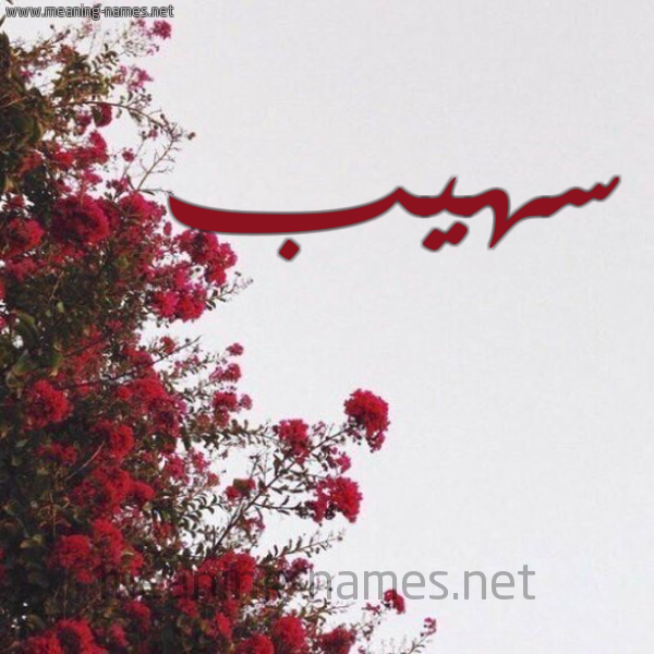 شكل 18 صوره الورد الأحمر للإسم بخط رقعة صورة اسم سهيب SOUHAIB