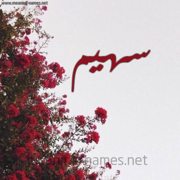 شكل 18 صوره الورد الأحمر للإسم بخط رقعة صورة اسم سهيم S'hym