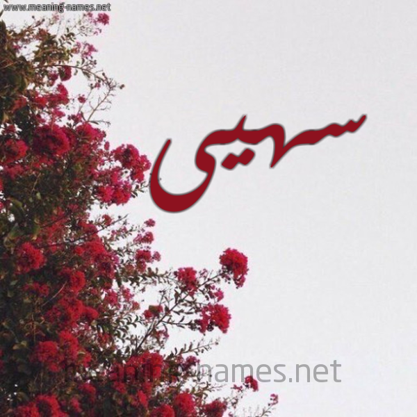 شكل 18 صوره الورد الأحمر للإسم بخط رقعة صورة اسم سهيى Soha