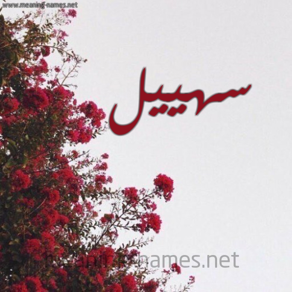 شكل 18 صوره الورد الأحمر للإسم بخط رقعة صورة اسم سهييل Suheil-