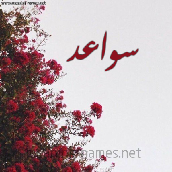 شكل 18 صوره الورد الأحمر للإسم بخط رقعة صورة اسم سواعد Swa'd