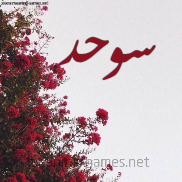 شكل 18 صوره الورد الأحمر للإسم بخط رقعة صورة اسم سوحد Swhd