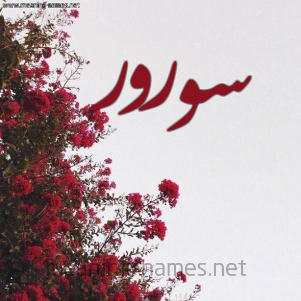 شكل 18 صوره الورد الأحمر للإسم بخط رقعة صورة اسم سورور Soror