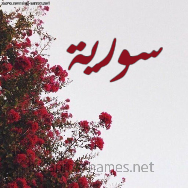 شكل 18 صوره الورد الأحمر للإسم بخط رقعة صورة اسم سورية SORIH