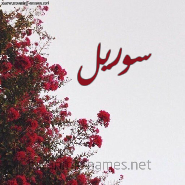 شكل 18 صوره الورد الأحمر للإسم بخط رقعة صورة اسم سوريل soriel