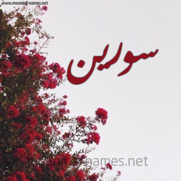 شكل 18 صوره الورد الأحمر للإسم بخط رقعة صورة اسم سورين soreeen