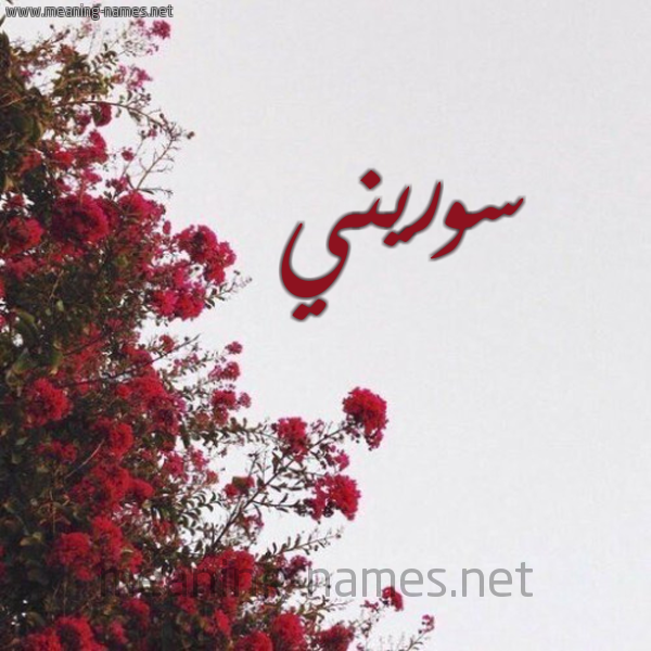 شكل 18 صوره الورد الأحمر للإسم بخط رقعة صورة اسم سوريني Soren