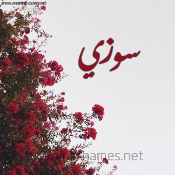 شكل 18 صوره الورد الأحمر للإسم بخط رقعة صورة اسم سوزي Sozi