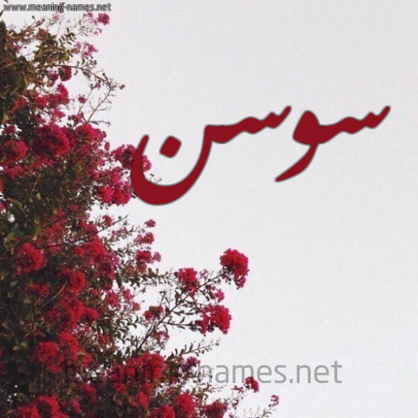 شكل 18 صوره الورد الأحمر للإسم بخط رقعة صورة اسم سوسن Swsn