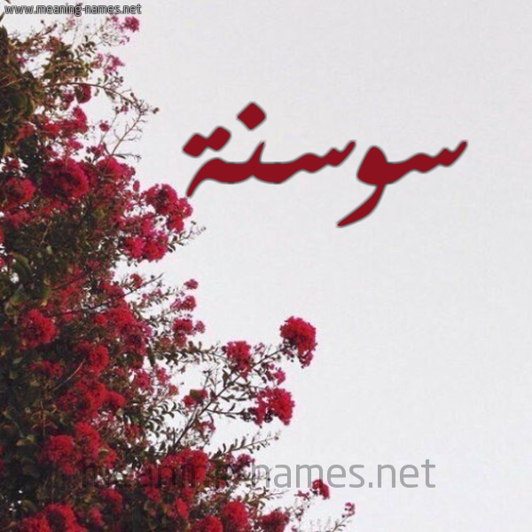 شكل 18 صوره الورد الأحمر للإسم بخط رقعة صورة اسم سوسنة SOSNH