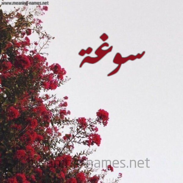 شكل 18 صوره الورد الأحمر للإسم بخط رقعة صورة اسم سوغة Swghh