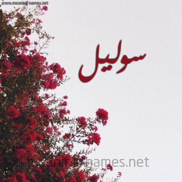 شكل 18 صوره الورد الأحمر للإسم بخط رقعة صورة اسم سوليل solil