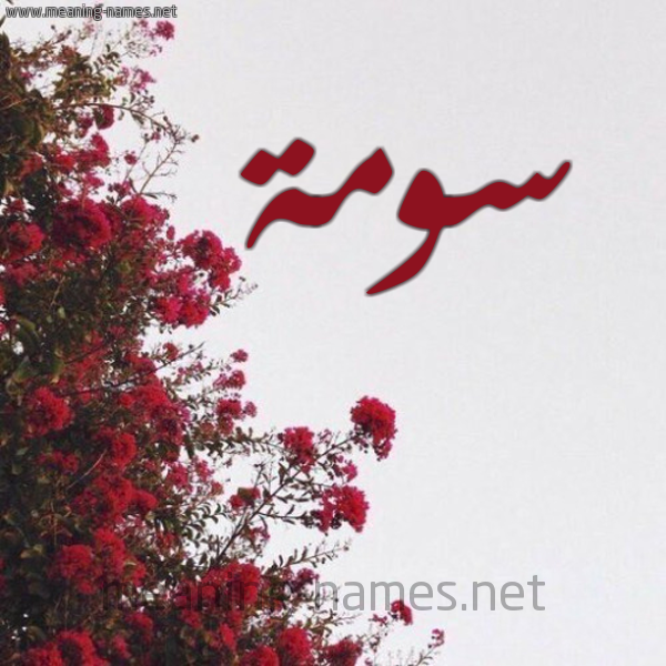 شكل 18 صوره الورد الأحمر للإسم بخط رقعة صورة اسم سومة Soma