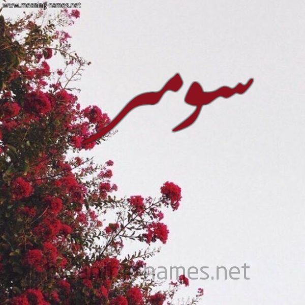 شكل 18 صوره الورد الأحمر للإسم بخط رقعة صورة اسم سومر Somar