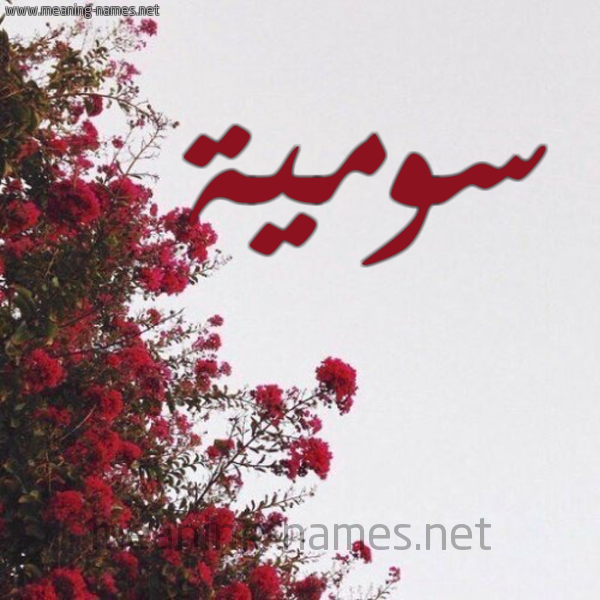 شكل 18 صوره الورد الأحمر للإسم بخط رقعة صورة اسم سومية SOMIYA