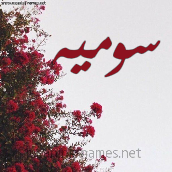 شكل 18 صوره الورد الأحمر للإسم بخط رقعة صورة اسم سوميه Swmyh