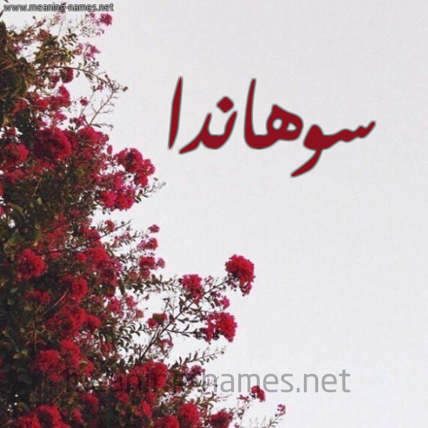 شكل 18 صوره الورد الأحمر للإسم بخط رقعة صورة اسم سوهاندا sohanda