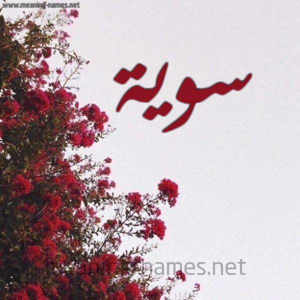 شكل 18 صوره الورد الأحمر للإسم بخط رقعة صورة اسم سوية Swyh