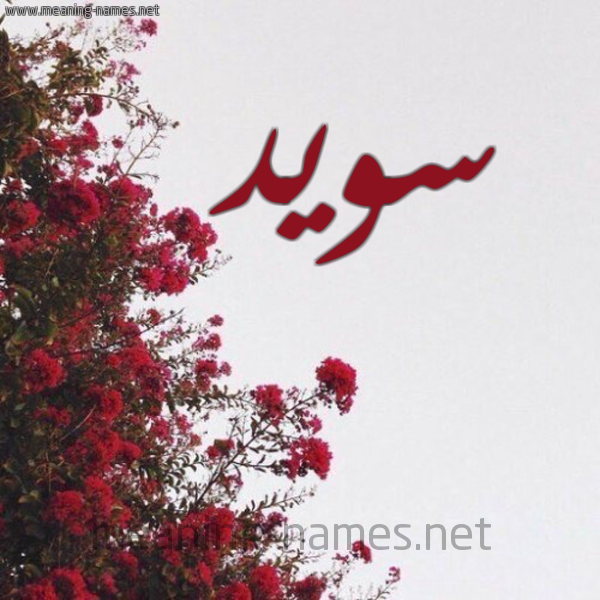 شكل 18 صوره الورد الأحمر للإسم بخط رقعة صورة اسم سويد SOID