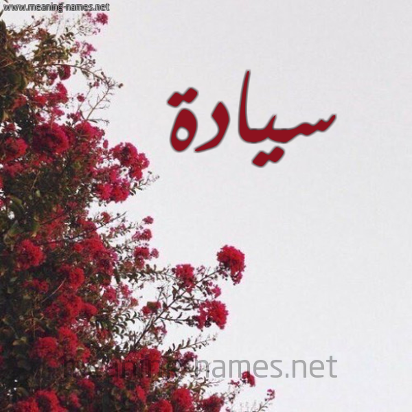 شكل 18 صوره الورد الأحمر للإسم بخط رقعة صورة اسم سيادة Syada