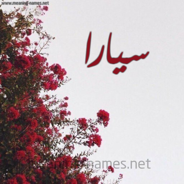 شكل 18 صوره الورد الأحمر للإسم بخط رقعة صورة اسم سيارا siara