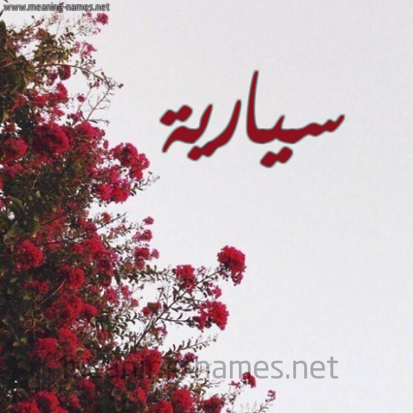 شكل 18 صوره الورد الأحمر للإسم بخط رقعة صورة اسم سيارية Sarya