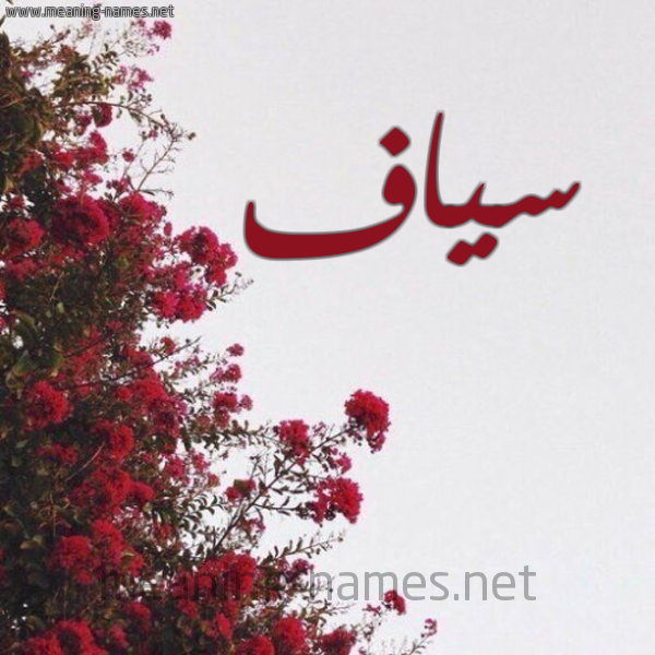 شكل 18 صوره الورد الأحمر للإسم بخط رقعة صورة اسم سياف Syaf