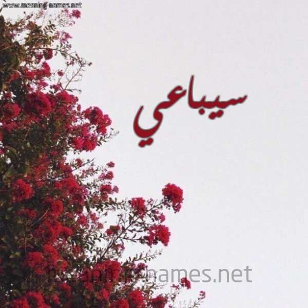 شكل 18 صوره الورد الأحمر للإسم بخط رقعة صورة اسم سيباعي Sebai