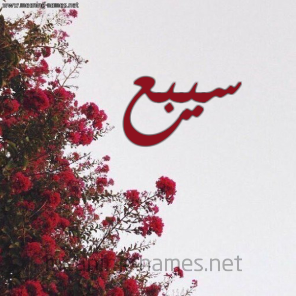 شكل 18 صوره الورد الأحمر للإسم بخط رقعة صورة اسم سيبع Sabe