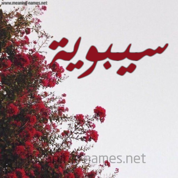 شكل 18 صوره الورد الأحمر للإسم بخط رقعة صورة اسم سيبوية SIBOIH