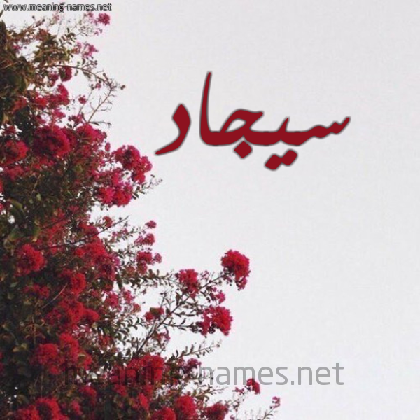 شكل 18 صوره الورد الأحمر للإسم بخط رقعة صورة اسم سيجاد Sajjad