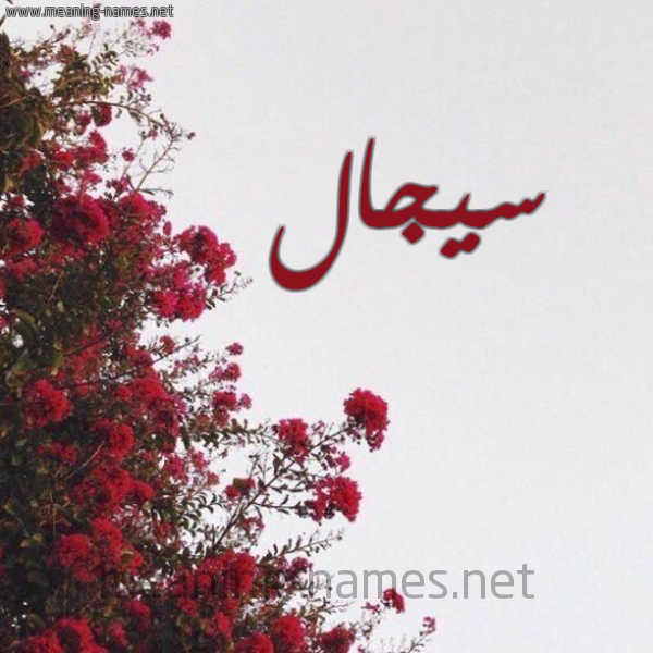 شكل 18 صوره الورد الأحمر للإسم بخط رقعة صورة اسم سيجال Sajal
