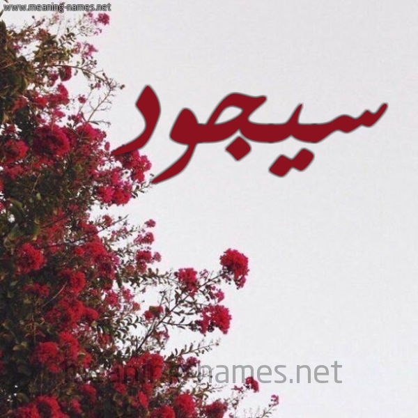 شكل 18 صوره الورد الأحمر للإسم بخط رقعة صورة اسم سيجود Soujod