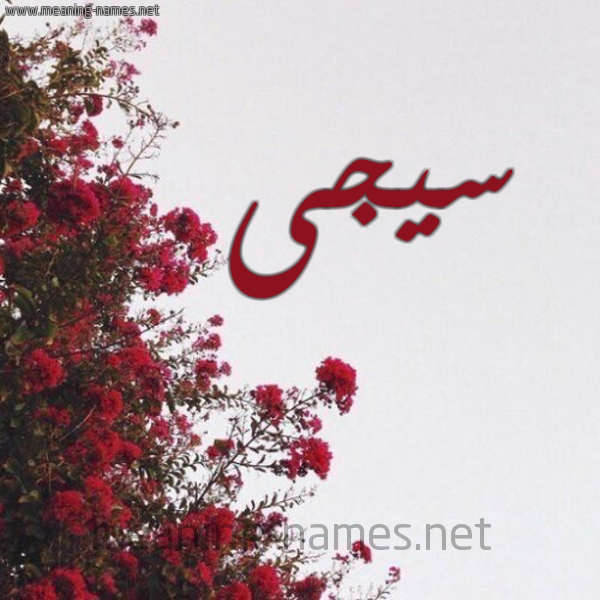 شكل 18 صوره الورد الأحمر للإسم بخط رقعة صورة اسم سيجى Saja