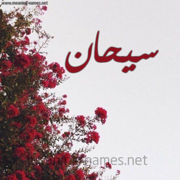 شكل 18 صوره الورد الأحمر للإسم بخط رقعة صورة اسم سيحان Syhan