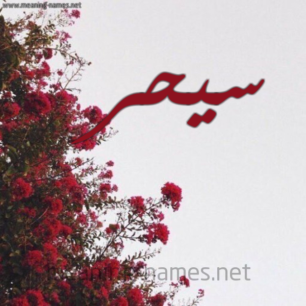 شكل 18 صوره الورد الأحمر للإسم بخط رقعة صورة اسم سيحر Sahar