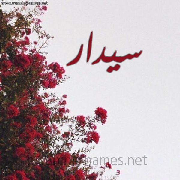 شكل 18 صوره الورد الأحمر للإسم بخط رقعة صورة اسم سيدار Cidar