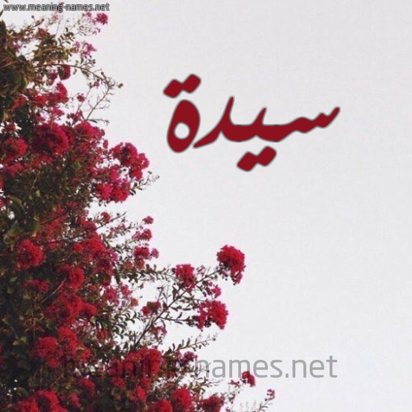 شكل 18 صوره الورد الأحمر للإسم بخط رقعة صورة اسم سيدة Sayida
