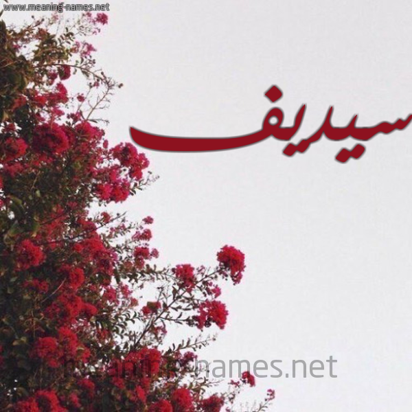 شكل 18 صوره الورد الأحمر للإسم بخط رقعة صورة اسم سيديف Sedef