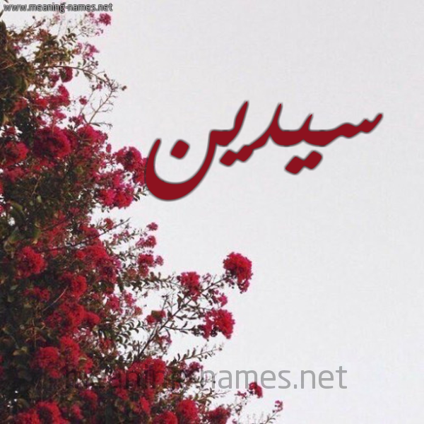 شكل 18 صوره الورد الأحمر للإسم بخط رقعة صورة اسم سيدين Sadin