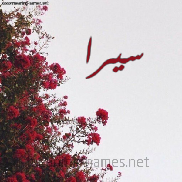 شكل 18 صوره الورد الأحمر للإسم بخط رقعة صورة اسم سيرا sira