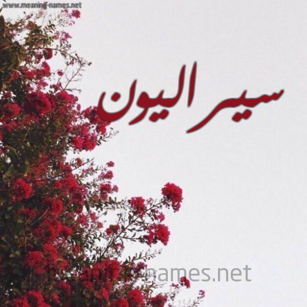 شكل 18 صوره الورد الأحمر للإسم بخط رقعة صورة اسم سيراليون SIRALION