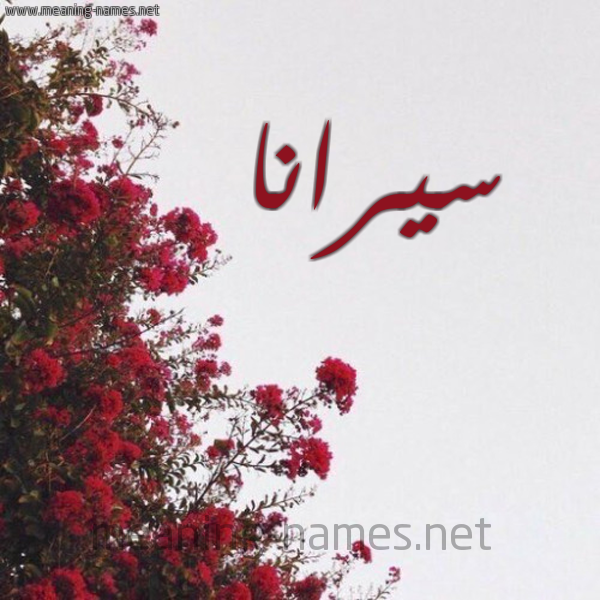 شكل 18 صوره الورد الأحمر للإسم بخط رقعة صورة اسم سيرانا sirinaa