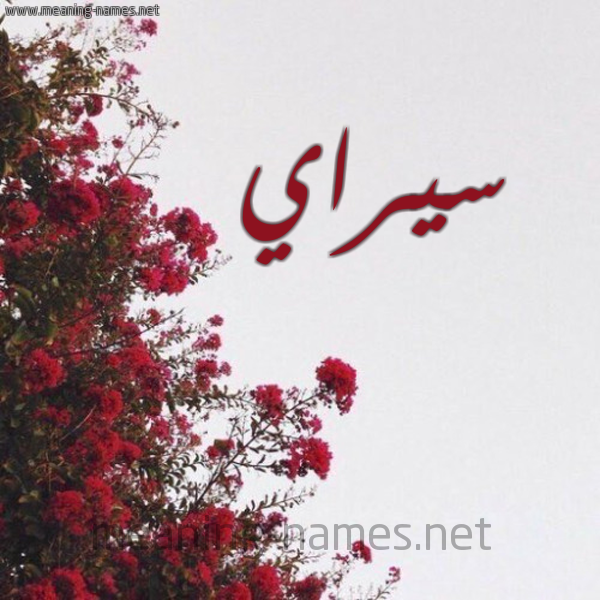 شكل 18 صوره الورد الأحمر للإسم بخط رقعة صورة اسم سيراي Seray