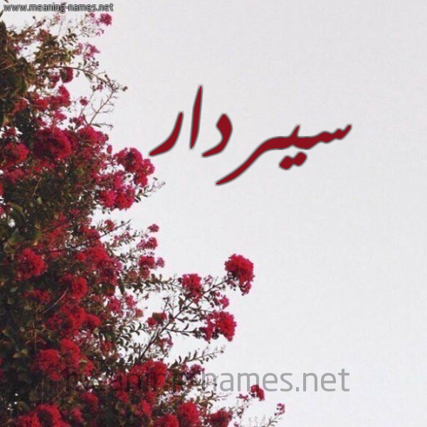 شكل 18 صوره الورد الأحمر للإسم بخط رقعة صورة اسم سيردار Serdar
